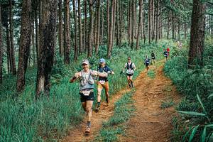 BIB: 
                            <button type="button" onclick="openModal(25713503)" class="btn btn-primary btn-sm float-right btn-popup" data-toggle="modal" data-target=".modal-high-quality">
                        <i class="fas fa-shopping-cart"></i> Add to Cart
                    </button>
                                            <button type="button" onclick="isThisMe(25713503, true)" class="btn btn-success btn-sm float-right btn-popup btn-isme hidden" data-toggle="tooltip" data-placement="bottom" title="นี่คือรูปของคุณใช่ไหม คลิกที่นี่เพื่อเอาเข้าอัลบั้ม">
                        <i class="fas fa-plus"></i> Add to album
                    </button>
                    <button type="button" onclick="isThisMe(25713503, false)" class="btn btn-warning btn-sm float-right btn-popup btn-isnotme hidden">
                        <i class="fas fa-ban"></i> Remove from album
                    </button>